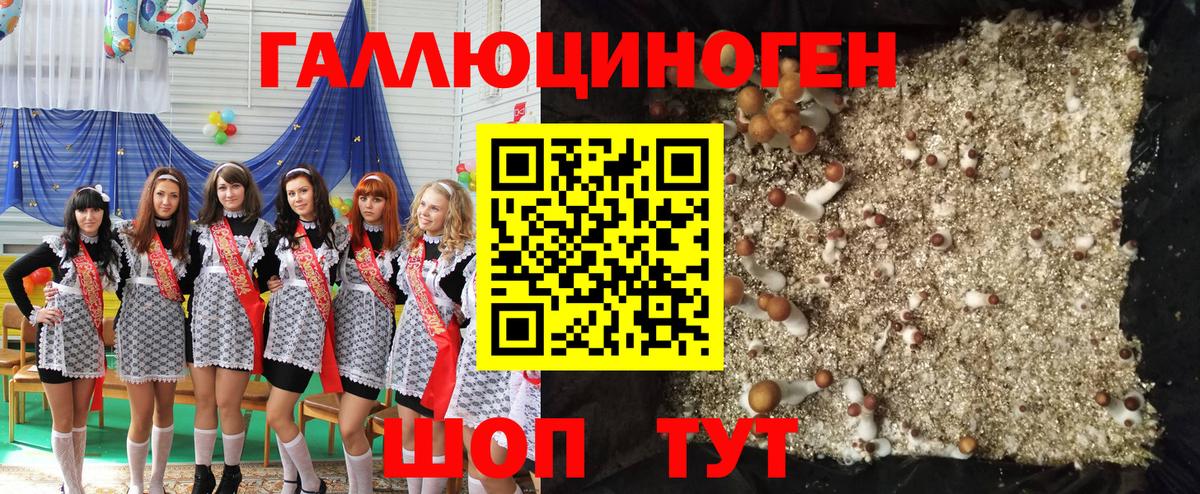 Псилоцибиновые грибы мицелий  где продают   Первоуральск  Галлюциногенные грибы GOLDEN TEACHER  Вход с VPN 