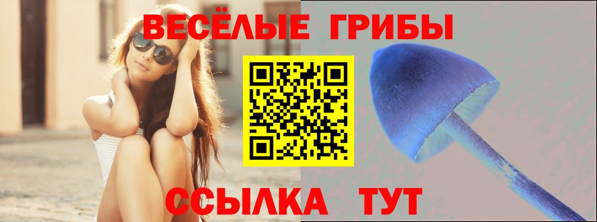 Псилоцибиновые грибы MAGIC MUSHROOMS Первоуральск